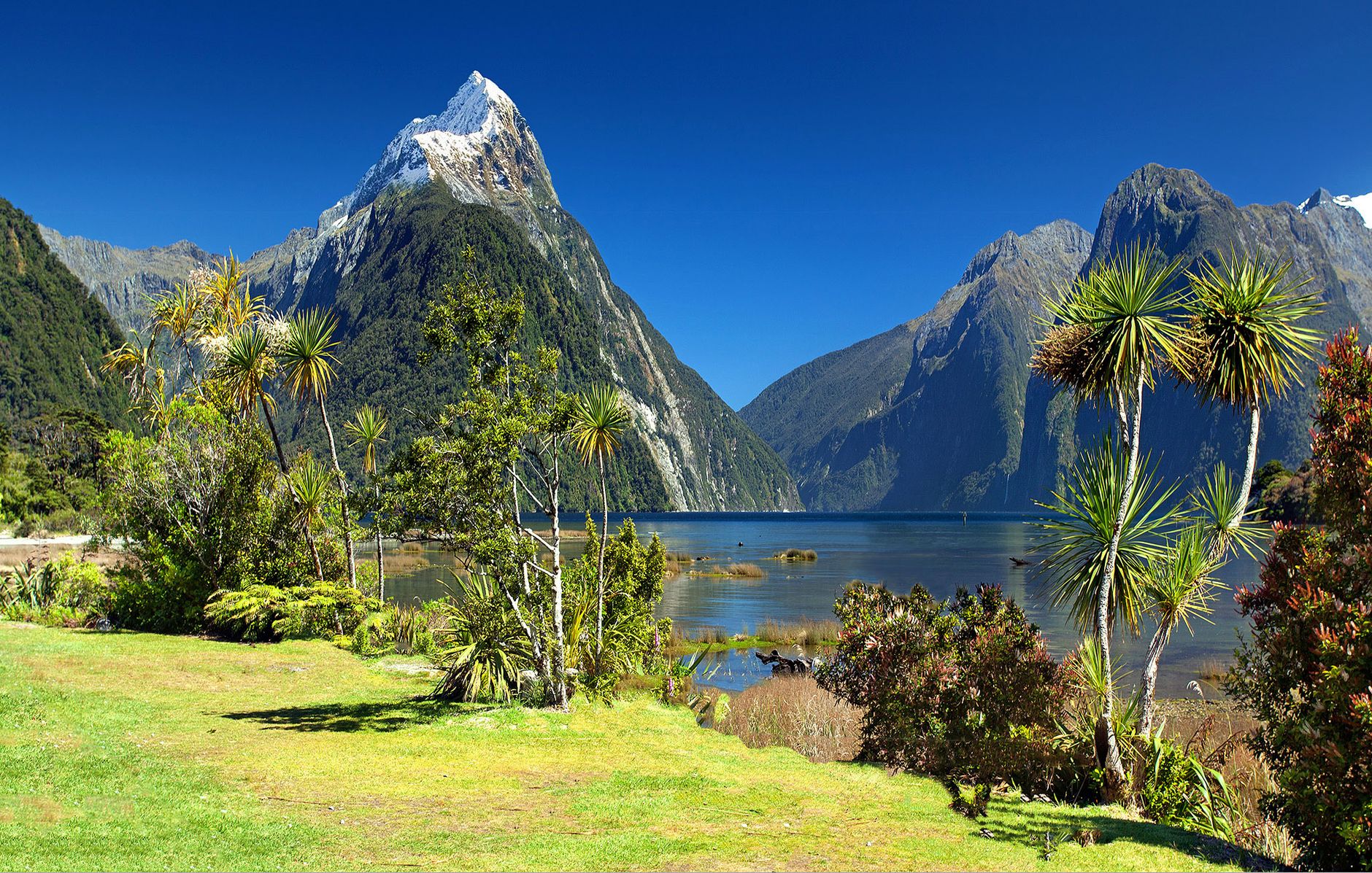 Stunning Fiordland mountains and serene lakes in New Zealand